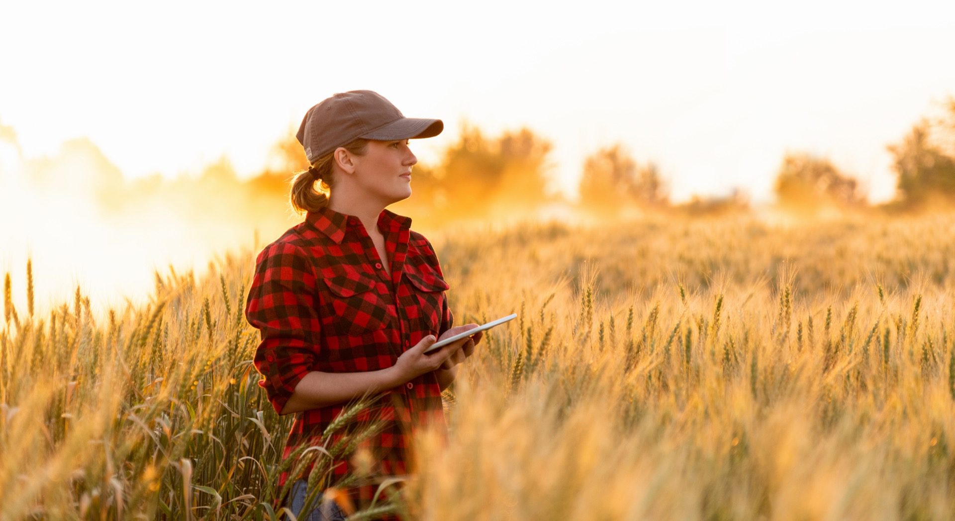 Main Factors That Influence The Farm Real Estate Appraisal Process
