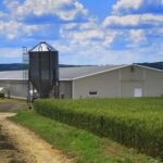 How to Improve the Value of Your Farm