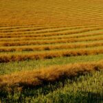 Your Alberta Farmland Appraisal Checklist