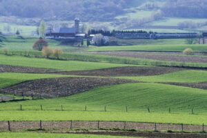 Farm Appraisals And Agricultural Land Review
